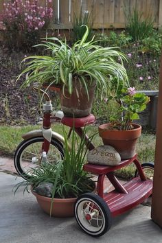 a red tricycle with potted plants in it