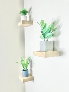 three small planters are on the wall