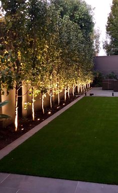 an outdoor garden with grass and trees at night