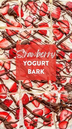 strawberry yogurt bark with chocolate drizzle and strawberries in the middle