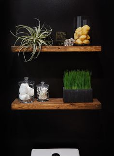 two wooden shelves with plants and rocks on them in front of a white laptop computer