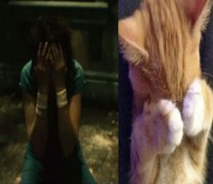 two pictures one has a cat and the other is a woman covering her face with her hands