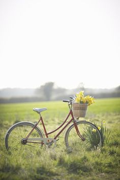 a red bicycle with a basket full of flowers in the middle of a grassy field