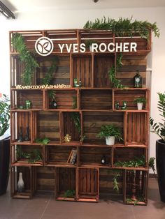 a wooden shelf filled with lots of green plants