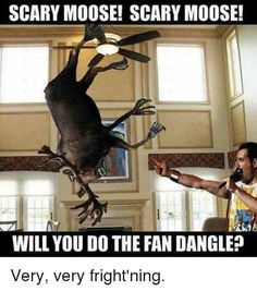 a man standing in front of a fake animal on top of a ceiling light with the caption scary moose scary moose moose will you do the fan dance?