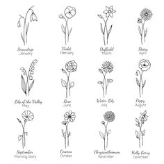 the different types of flowers and their names