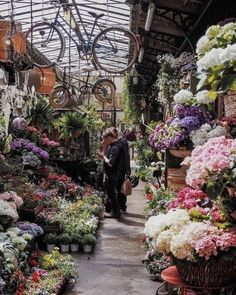 a person walking through a flower shop with lots of flowers in the foreground and bicycles hanging from the ceiling