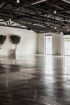 an empty room with two potted plants in it