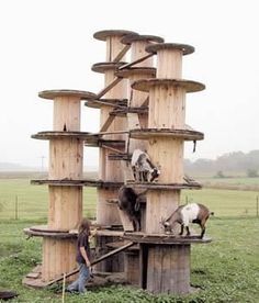 a person standing next to a wooden structure with animals on it in the grass near a field