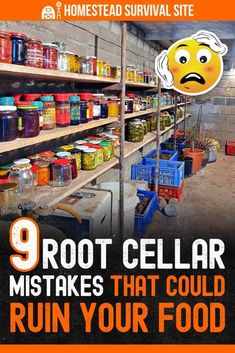 Root cellars have been used for centuries to keep foods fresh, but they won't work if you make these root cellar mistakes. Apartment Homesteading, Root Cellar Storage, Root Cellars, Homestead Style, Survival Food Storage, Food Shelf Life, Inspirational Homes, Bushcraft Shelter