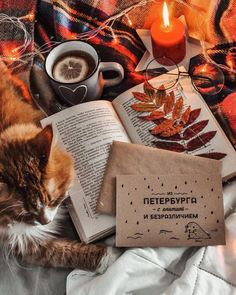 a cat laying on top of a blanket next to an open book and cup of coffee