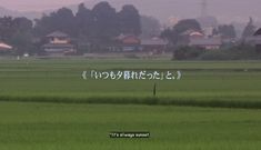 an image of a green field with the words it's always sunset written in japanese