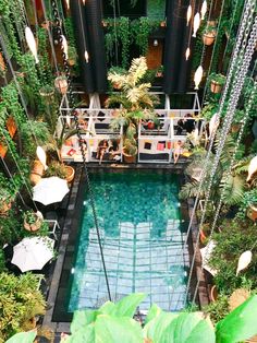 an indoor swimming pool surrounded by greenery and hanging lights with people sitting at tables