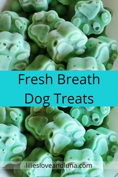 fresh breath dog treats in a bowl with text overlay that reads, fresh breath dog treats