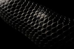 a black and white photo of a snake skin pattern on a dark background with the light coming through it