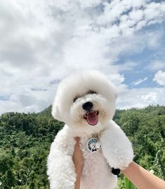 a person holding a white dog in their arms with trees and sky in the background