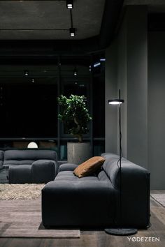 a living room filled with furniture and a potted plant in the middle of the room