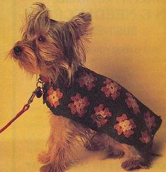 a small dog wearing a sweater with flowers on it's chest and leash attached to its neck