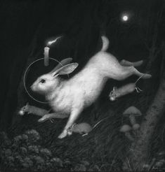 a white rabbit is running through the woods at night with its head in the air