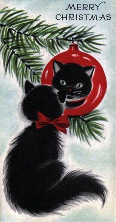 a black cat sitting on top of a christmas ornament next to a pine tree