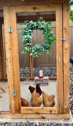 two chickens in a chicken coop with a wreath on top