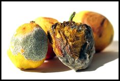 some fruit is sitting on a white surface