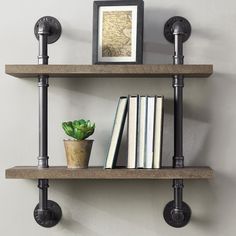 two shelves with books and a potted plant on them