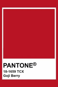 Lychee Color Palette, Bright Pantone, Pantone Color Swatches