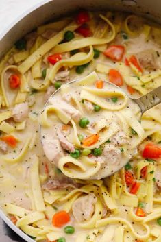 a pot full of chicken noodle soup with a ladle