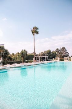 an empty swimming pool with palm trees in the background