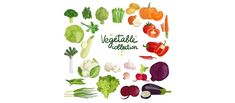 an assortment of vegetables including broccoli, lettuce and carrots - food objects