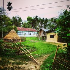 a small village with grass and houses in the back ground, surrounded by palm trees