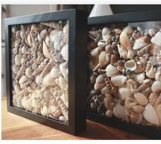 two framed pictures with sea shells in them