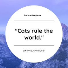 a white circle with the words cats rule the world on it and mountains in the background