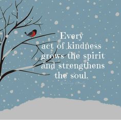 a bird sitting on top of a tree in the snow with a quote about kindness