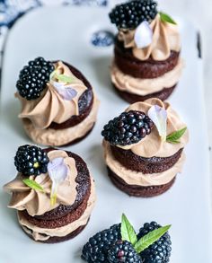 chocolate cupcakes with frosting and blackberries on a white plate