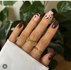 Elegant Winter Nails, 2025 Nails, Safari Nails, Thanksgiving Nails Design, Thanksgiving Nail Ideas, Nails October, Fresh Manicure, Thanksgiving Nail Designs, Thanksgiving Nail