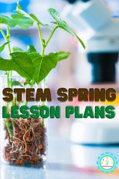 These spring lesson plans all have a STEAM focus and have ideas for science, technology, engineering, art, and math! March Stem, Lesson Plans For Elementary, Spring Science Experiments, Backyard Science, Spring Stem Activities, Spring Science Activities, Spring Stem, Spring Lesson Plans