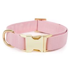 a pink collar with a gold buckle on it