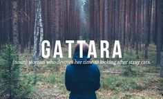 a person walking through a forest with the words gattara in front of them