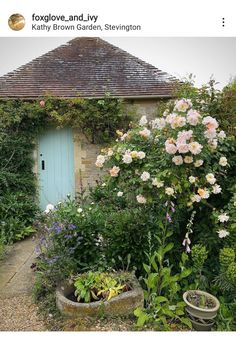 an image of a garden with flowers and plants in the foreground, next to a blue door