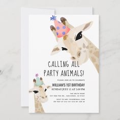 two giraffes are wearing party hats on their heads and the words, calling all party animals