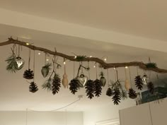 pine cones are hanging from a branch with lights