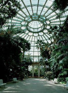 the inside of a building with lots of trees and plants