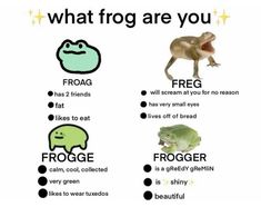 what frog are you? poster with pictures of different types of frogs and toades