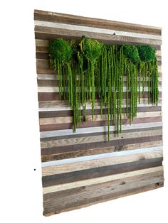 some green plants are hanging on a wooden wall