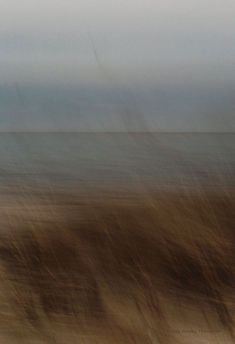 a blurry photo of the ocean and sky with grass blowing in the foreground