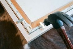 the horse is looking at its own reflection in it's stall door window frame