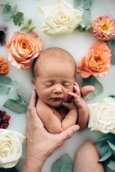 a person holding a baby in their hands surrounded by flowers and leaves on a white surface