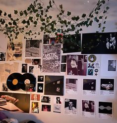 a wall covered in pictures and records with vines hanging from it's ceiling above